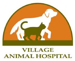 مستشفى القرية للحيوانات